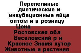 Перепелиные диетические и инкубационные яйца оптом и в розницу › Цена ­ 3.00-10.00 - Ростовская обл., Веселовский р-н, Красное Знамя хутор Животные и растения » Птицы   